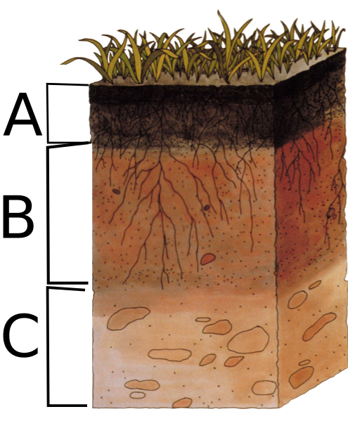 Layers of Soil